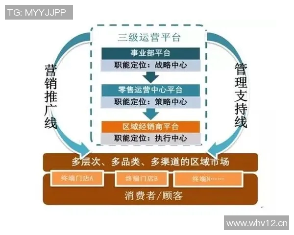 深度分析重庆排球队的运营策略与市场推广模式