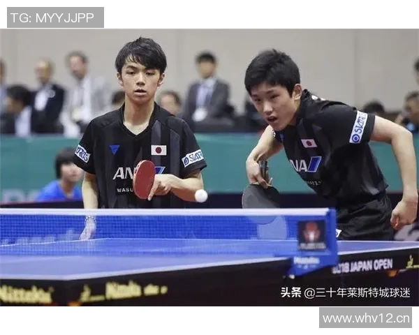 乒乓球运动员的成长轨迹与竞技精神探索分析