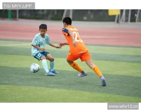 体育强国建设：推动全民健身与竞技体育双轮驱动实现健康中国梦